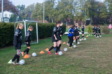 Bild 28 - wBJ MSG Steinhorst-Krummesse - VfL Pinneberg : Ergebnis: 2:0